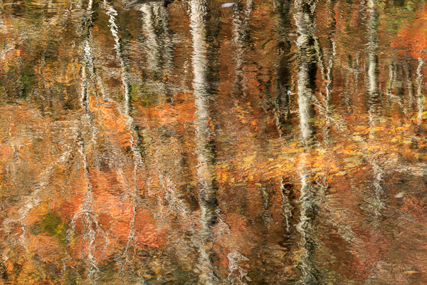 Abstract;Autumn;Calm;Concepts;Fall;Flow;Great Smoky;Great Smoky Mountains National Park;Healing;Health care;Healthcare;Minimalism;Mirror;Nature;Oneness;Pastoral;Personal;Pool;Ripple;River;Stream;Sunlight;Sunshine;Tennessee;United States;Water;Waterscape;flowing;peaceful;reflection;reflections;restful;serene;soothing;sunlit;tranquil;zen